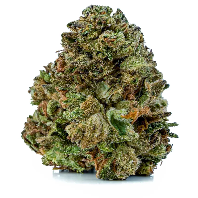 ROYAL GORILLA(BUDGET) on the Green Pentagon Cannabis delivery menu