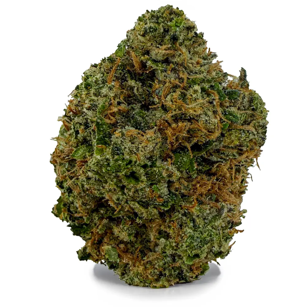 KING LOUIS XIII (CRAFT) on the Green Pentagon Cannabis delivery menu